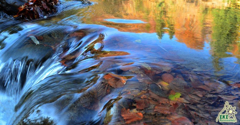 Az ősz tükröződése a Nagyág vizén.
