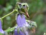 phoca_thumb_m_1151_galeria.jpg