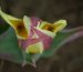 phoca_thumb_s_2143_galeria.jpg