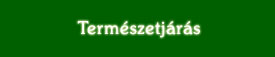 A városaink betonrengetegébe tévedt, biztos elidegenedésre ítélt emberkét visszavezetni a természetbe.