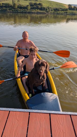 Szabó Ádám Kutya taxi