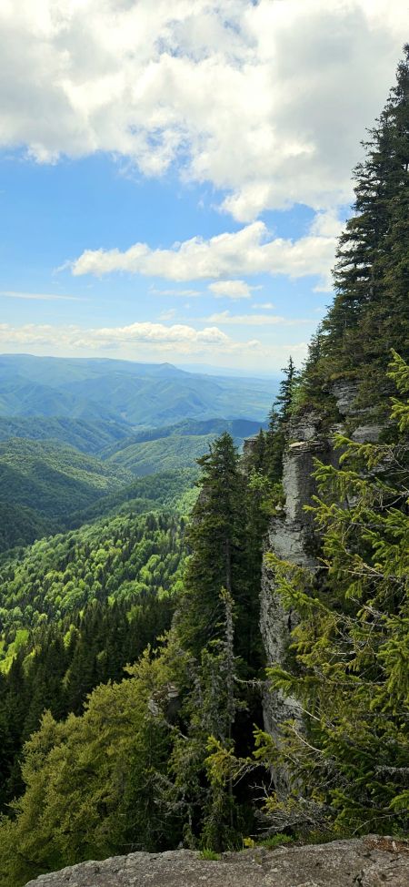 rené westerbeke istenszeke3jpg