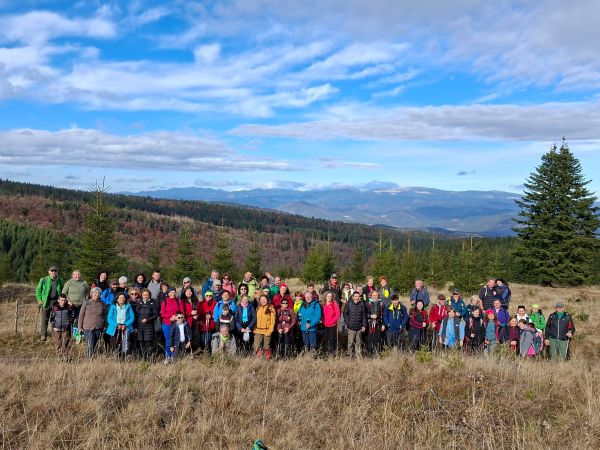 vita zoltan Kogombak tura