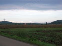 SV-sarpatak