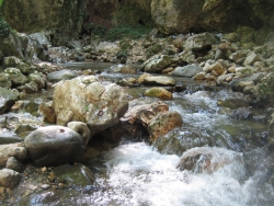 2016 09 03 Kudzsiri-havasok 265