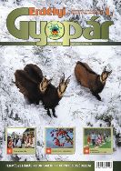 Megjelent az Erdélyi Gyopár 2013/1. lapszáma