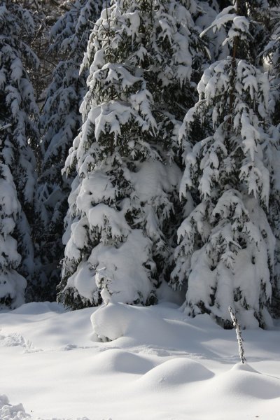 Galonya völgye fotótúra 2