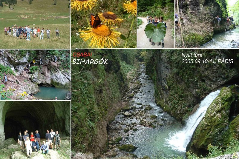 PADISI BIHARGOK TURA KEPESLAP