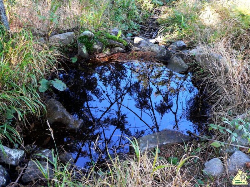 Ami a forrasbol maradt