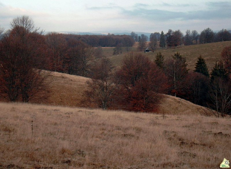Ahol a boszorka lakik ...