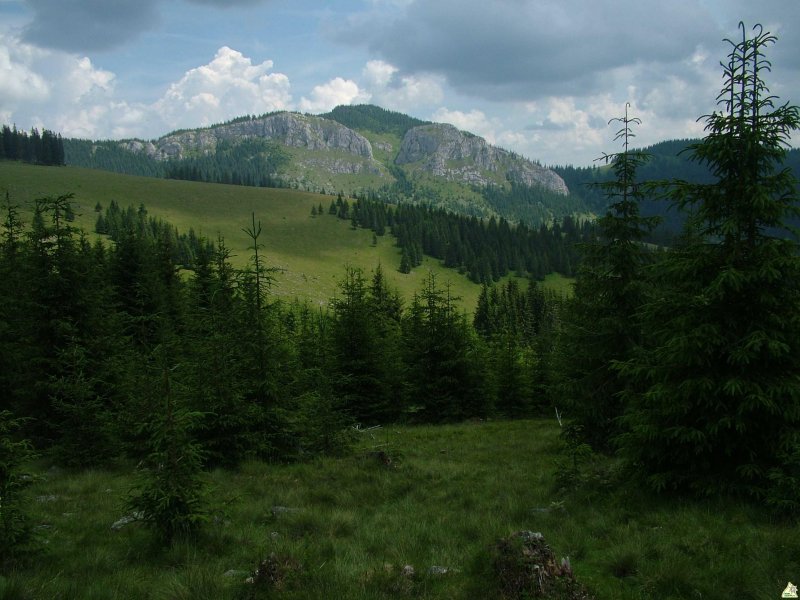 Zorán kövek (Fehér Sziklák :-)
