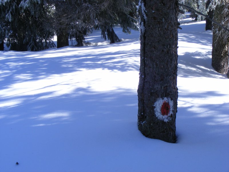Márciusi hójelentés