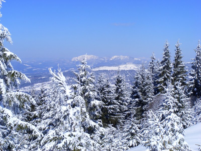 Kilátás a Pogány-havasról