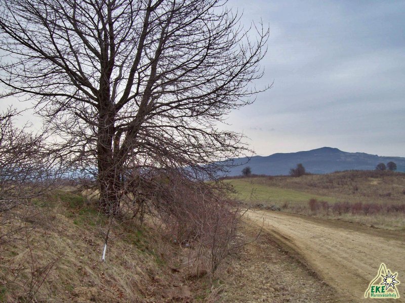 Siklod-kő a Farkas tetőről