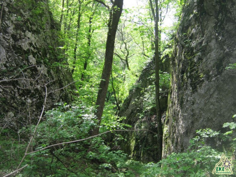 A Jelarau-szurdok