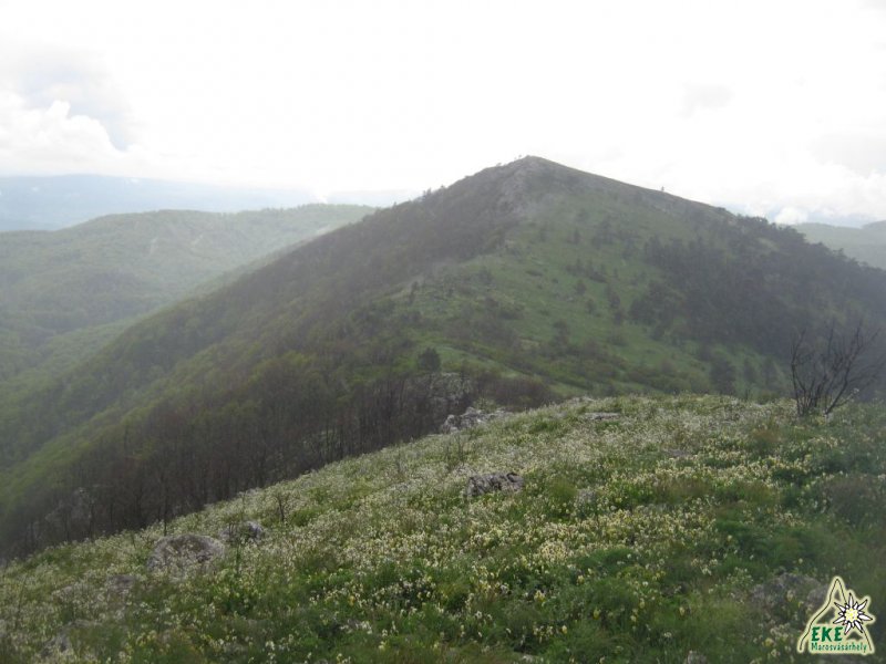 A Nagy-Domogled cs&uacute;csa