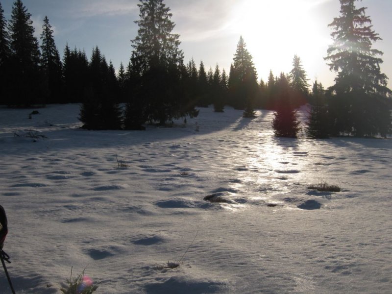 Decemberi d&eacute;lut&aacute;n a Cserepes-mezőn