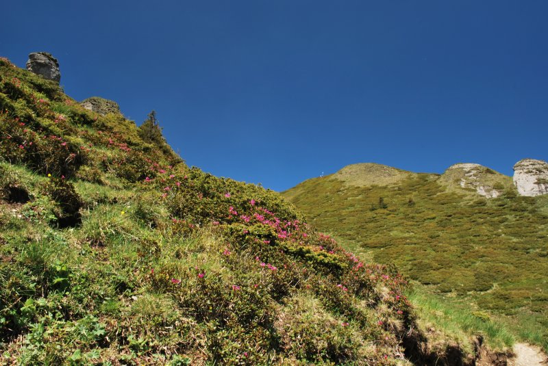 Csukás csúcs Havas szépével