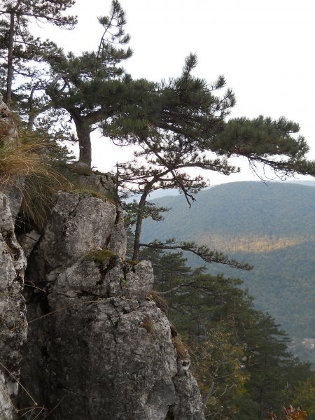 Domogléd  Herkules fürdö