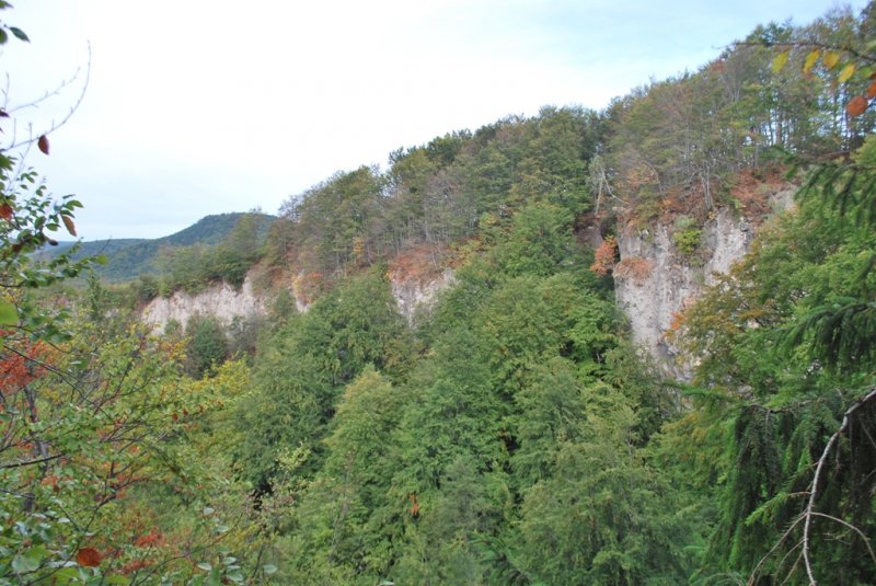 Görgényüvegcsűri sziklák