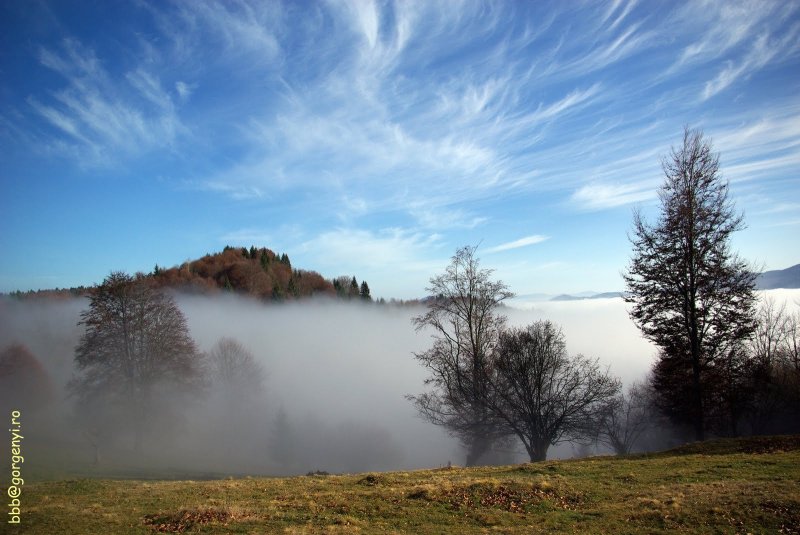 Ködben - Páfrányos mező, Kelemen-havasok