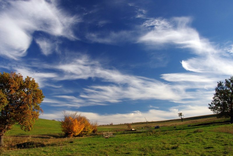 Felső-Bölkény - mocsárerdő
