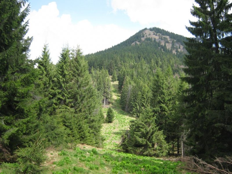 Magura - Nagy-Erdős