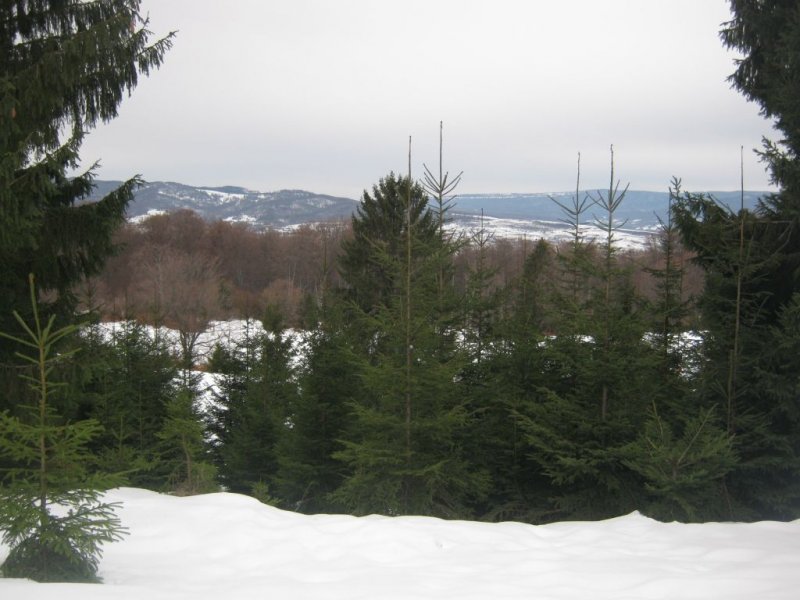 Téli táj (Siklodkő)