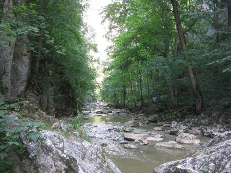 Vargyas szurdokában