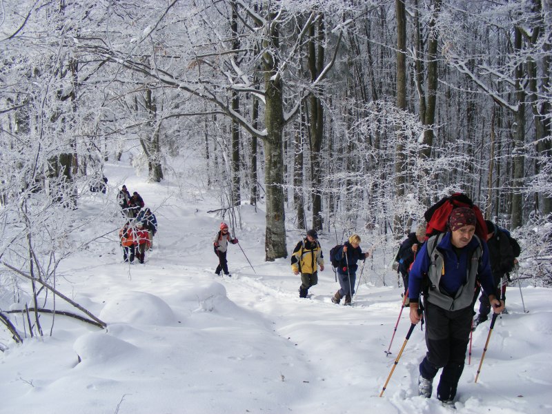 Útban a Funtinel-mezőre