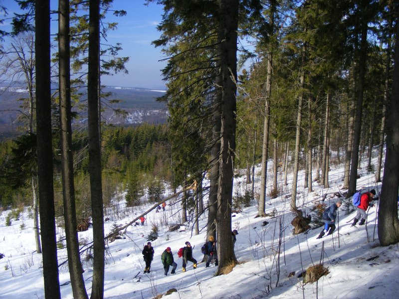 Útban a Cserepes-kőre