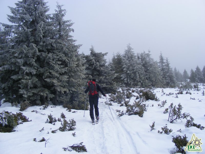 Télelő a Mező-havason