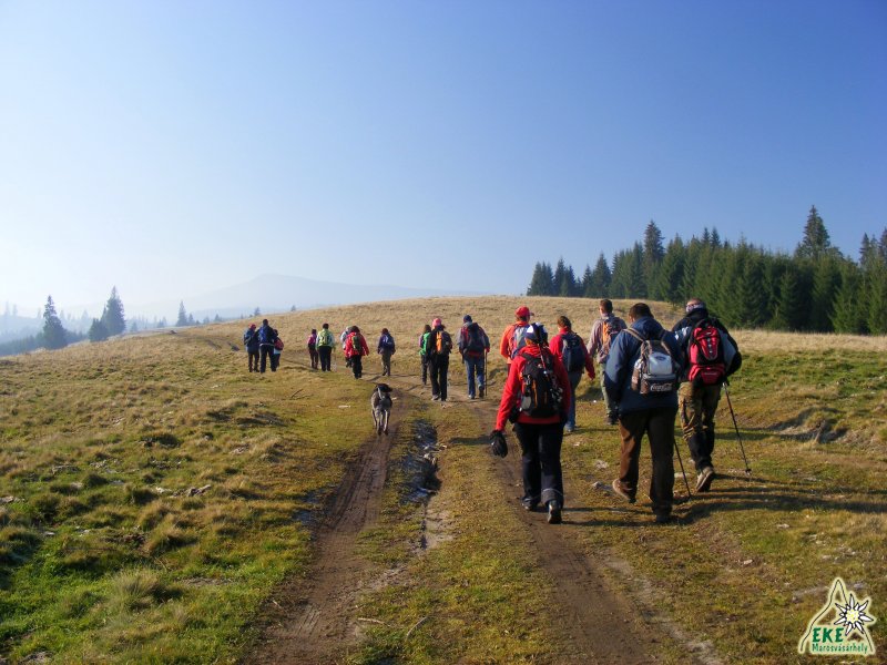 Útban a Kőgombákhoz