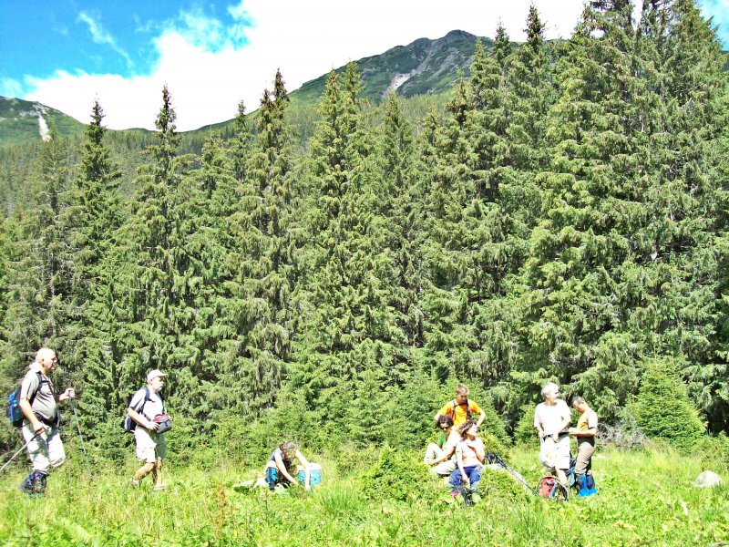 Pihenő a Negoj fele