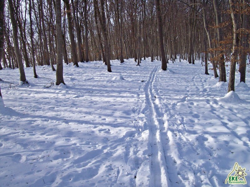 Lefele a Vácmány tetőről