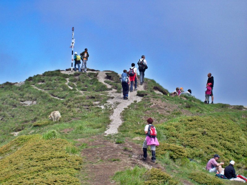 Érkezés a csúcsra