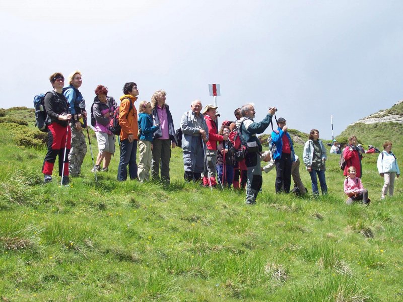 Lefele a Csukásról