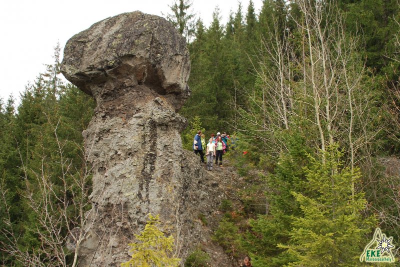 a Nagykőgomba védelmében