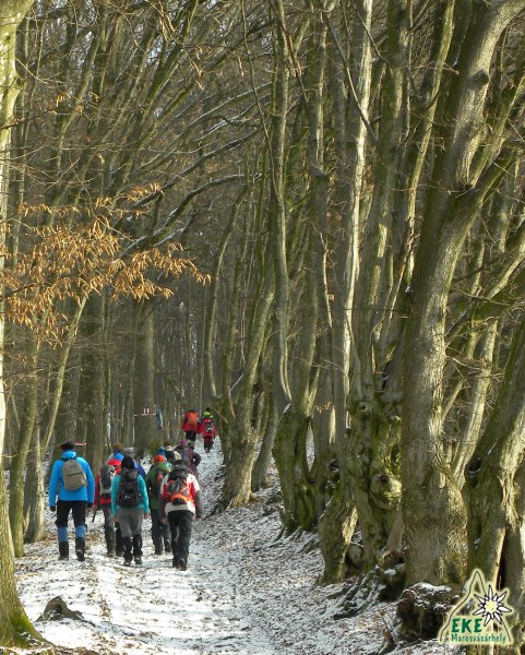 Útban a Terebics tető fele.