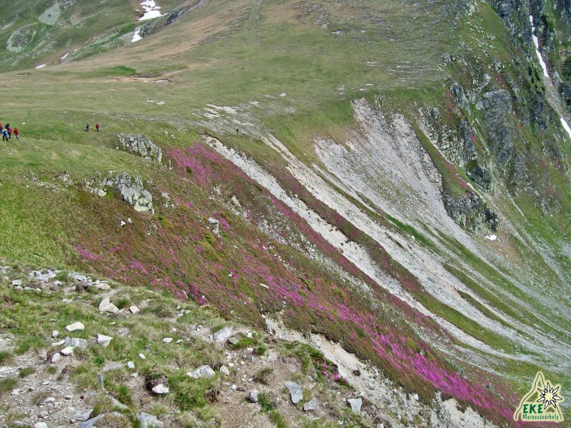 Futószönyeg a Iezer nyeregben