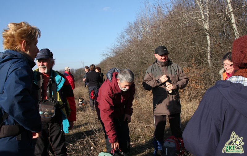 Németkalapi pillanatkép 1