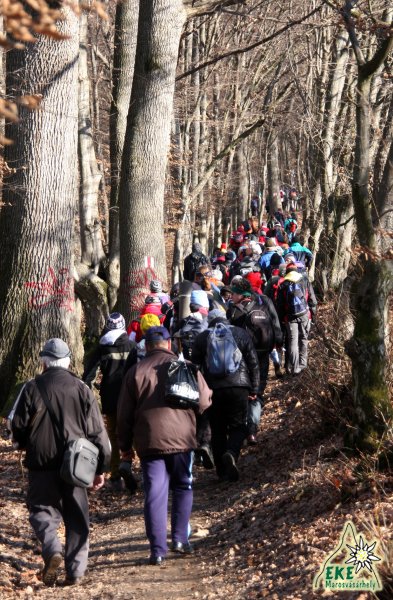 A Terebics tető felé