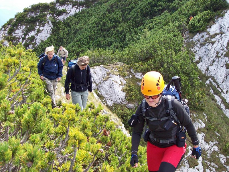 Lefele a Torony csúcsról