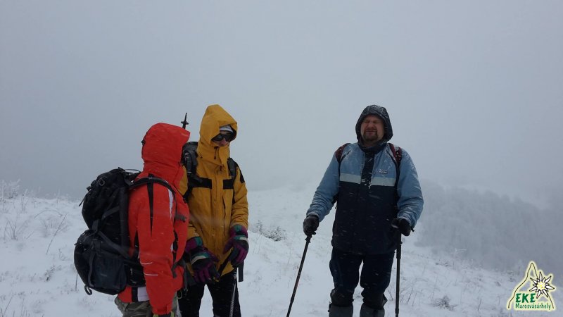 Vidaly-koi fagyasztoban